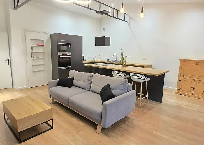 Thesecret 8 Couchages, Sanctuaires Et Gare 5Mn Climatise , Salle De Sport Terasse Διαμέρισμα Λούρδη