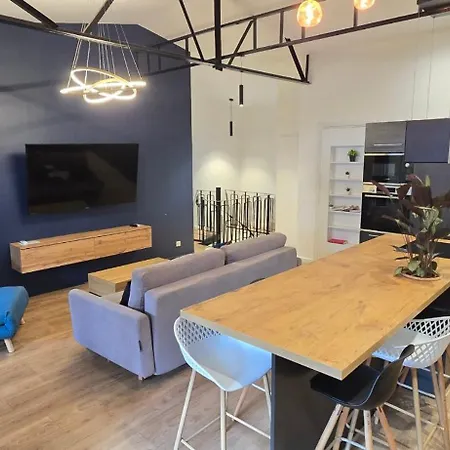 Daire Thesecret 8 Couchages, Sanctuaires Et Gare 5mn Climatise , Salle De Sport Terasse Lourdes