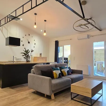 Thesecret 8 Couchages, Sanctuaires Et Gare 5mn Climatise , Salle De Sport Terasse * Lourdes