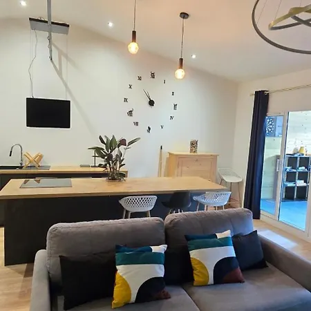 Thesecret 8 Couchages, Sanctuaires Et Gare 5mn Climatisé , Salle De Sport Terasse * Lourdes