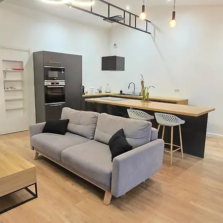 Thesecret 8 Couchages, Sanctuaires Et Gare 5Mn Climatise , Salle De Sport Terasse Apartamento Lourdes