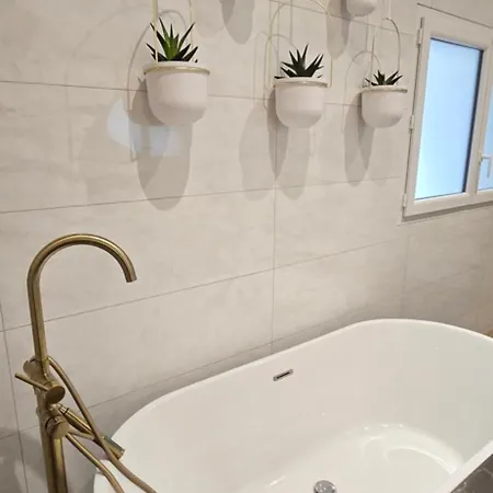 Thesecret 8 Couchages, Sanctuaires Et Gare 5mn Climatisé , Salle De Sport Terasse Lourdes